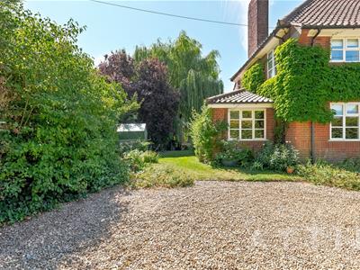 Picture 59